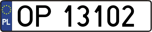 OP13102