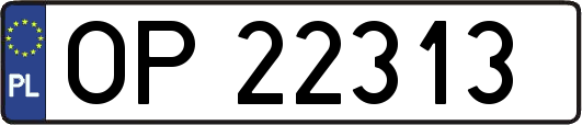 OP22313