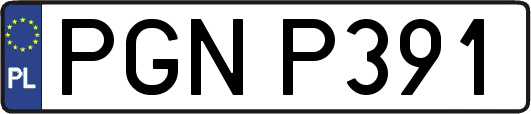 PGNP391