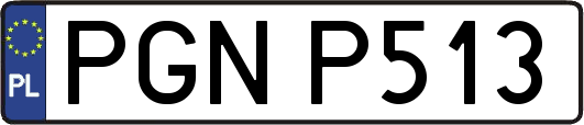 PGNP513