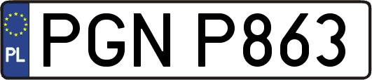 PGNP863