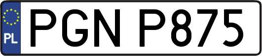 PGNP875