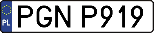 PGNP919