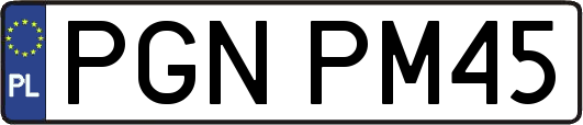 PGNPM45