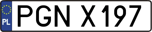 PGNX197
