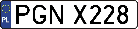 PGNX228
