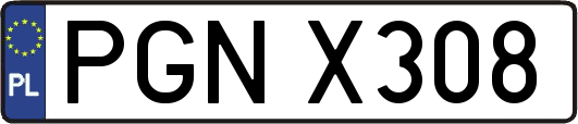 PGNX308