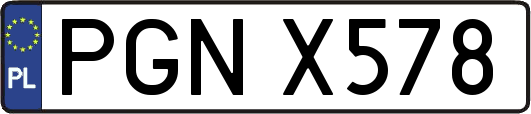 PGNX578