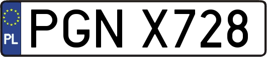 PGNX728