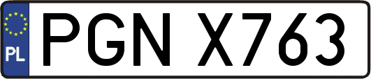 PGNX763