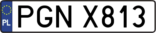 PGNX813