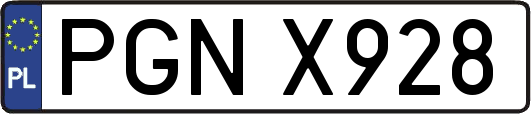 PGNX928