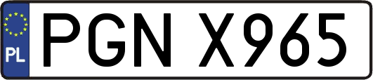PGNX965