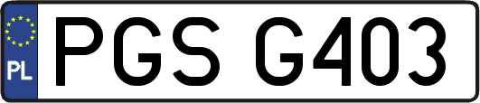 PGSG403