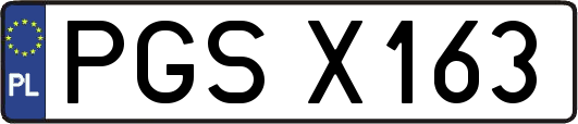 PGSX163