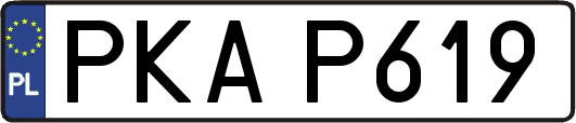 PKAP619