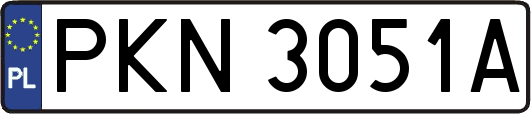 PKN3051A
