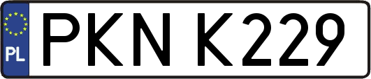 PKNK229