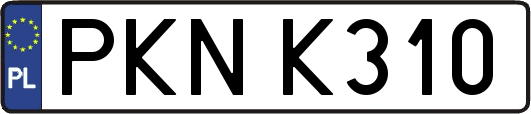 PKNK310