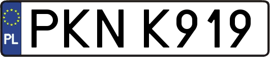 PKNK919