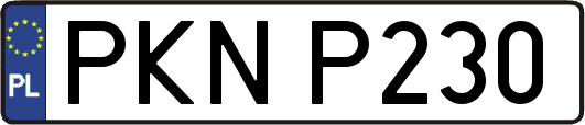 PKNP230