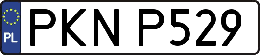 PKNP529