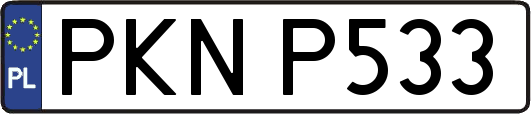 PKNP533