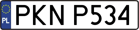 PKNP534