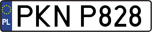 PKNP828