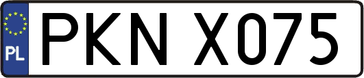 PKNX075
