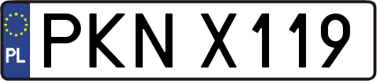 PKNX119