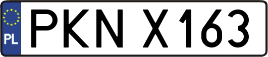 PKNX163