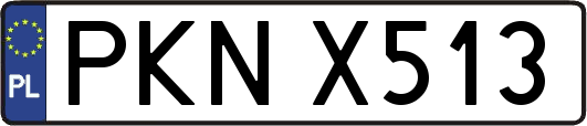 PKNX513