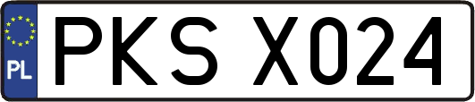 PKSX024