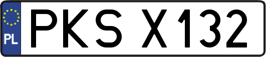 PKSX132