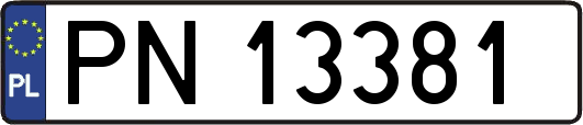 PN13381