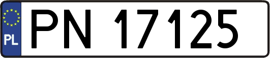 PN17125
