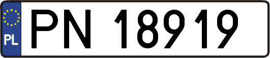 PN18919