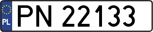 PN22133