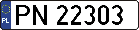 PN22303
