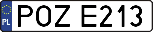 POZE213