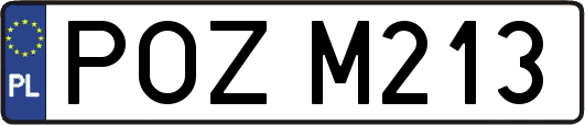 POZM213