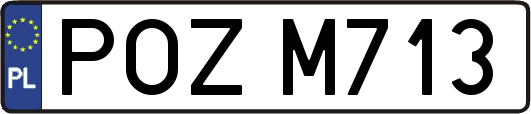 POZM713