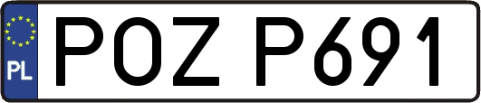 POZP691
