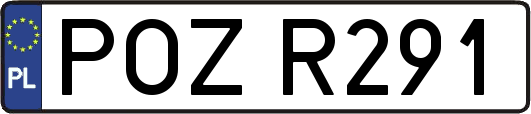 POZR291