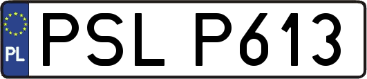 PSLP613