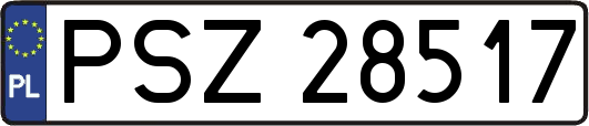 PSZ28517