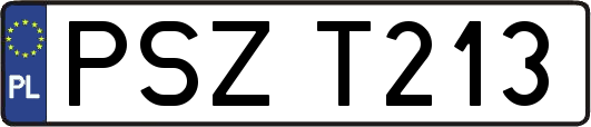 PSZT213