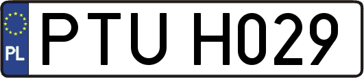 PTUH029