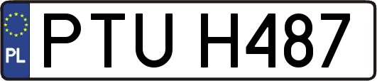 PTUH487